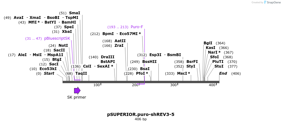 50961_map