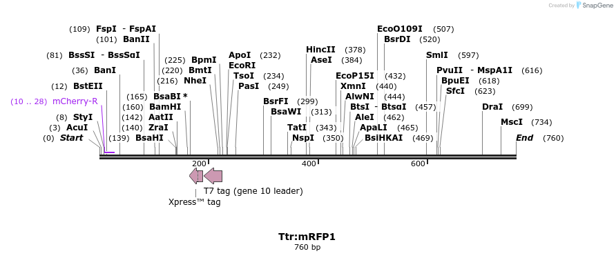50966_map