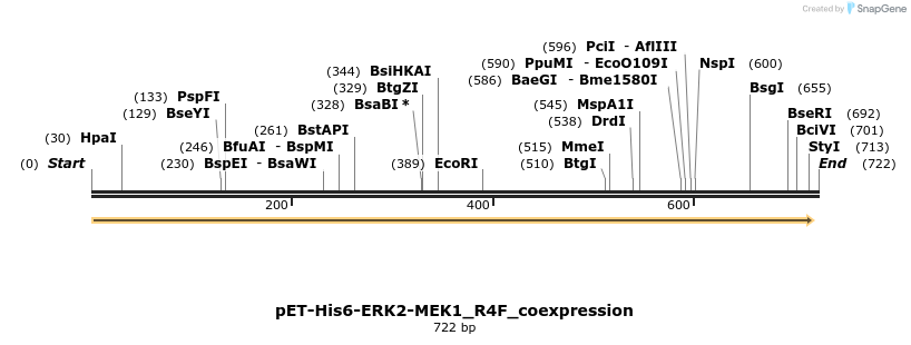 50972_map