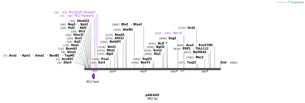 50975_map