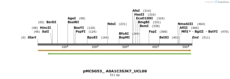 509762_map