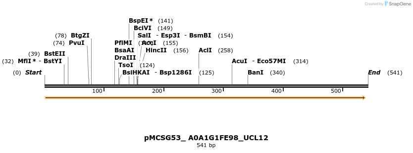 509766_map