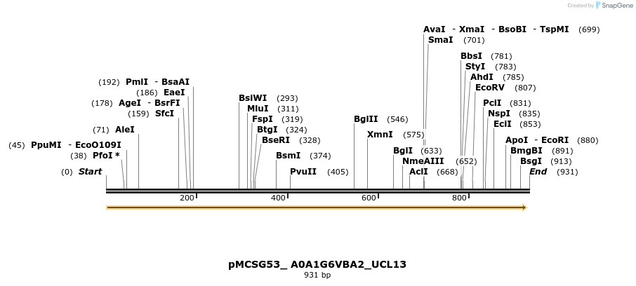 509767_map