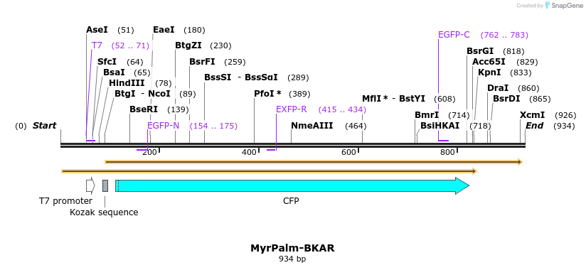 50977_map