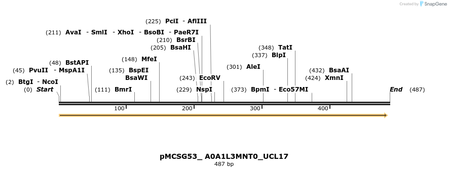 509771_map