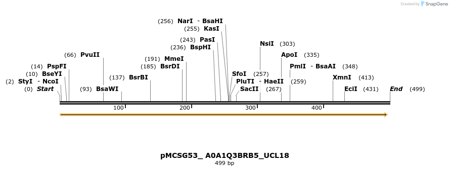 509772_map