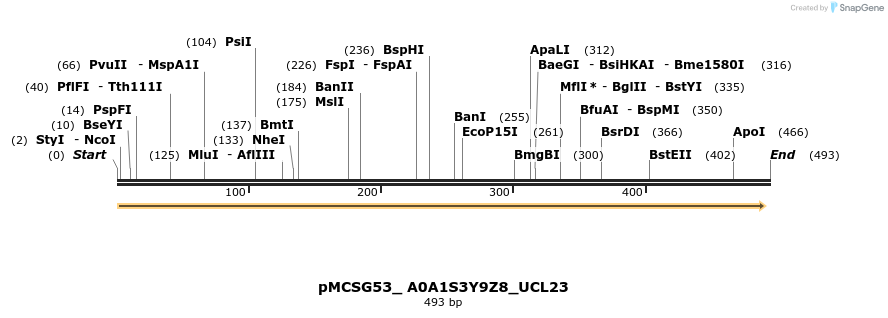 509777_map