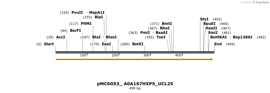 509779_map