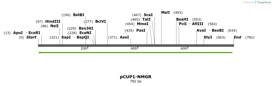 50978_map