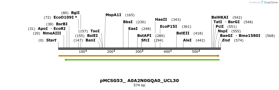 509784_map