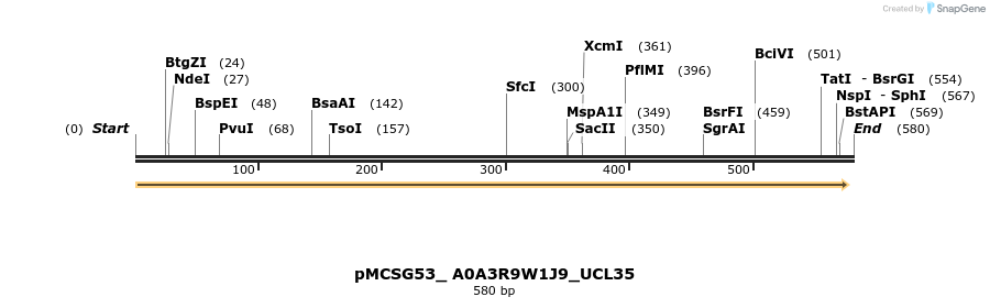 509789_map