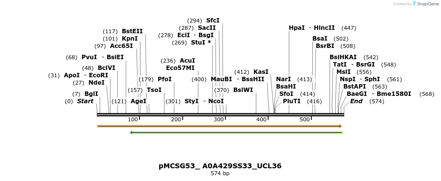 509790_map