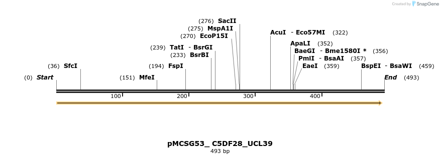 509793_map