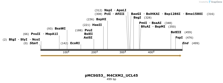 509799_map