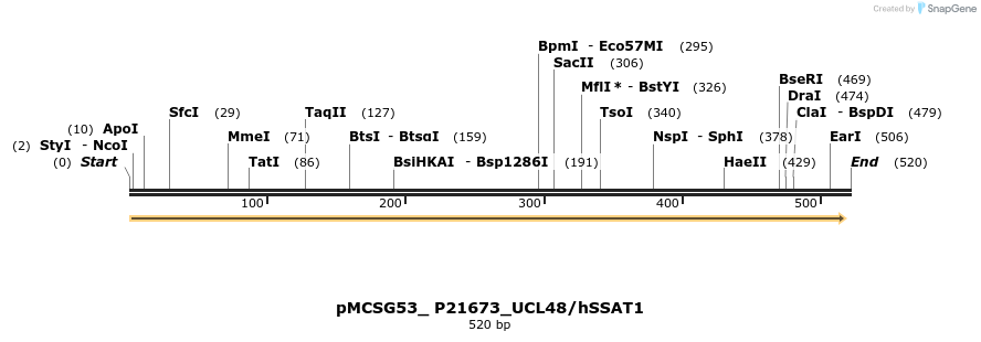509802_map