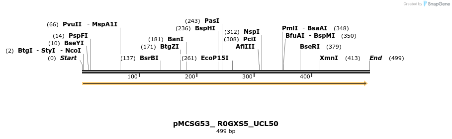 509804_map