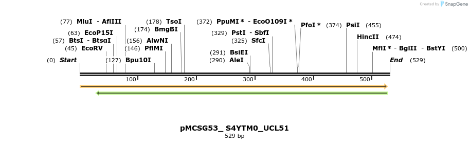 509805_map