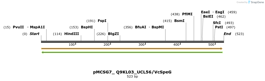 509810_map