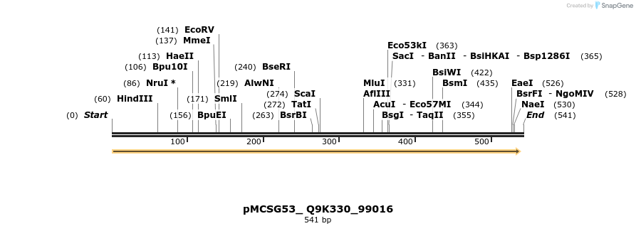 509812_map