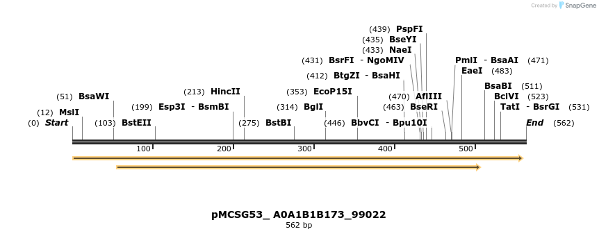 509815_map