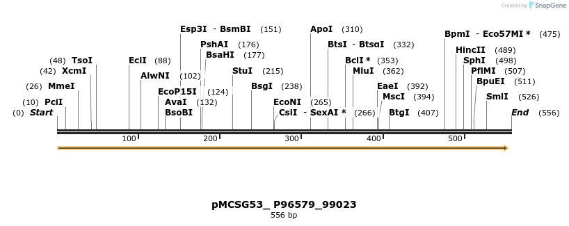 509816_map