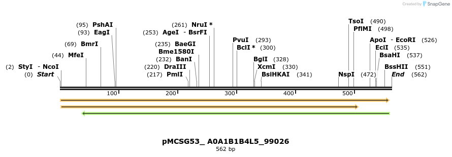 509818_map