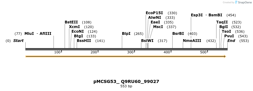 509819_map