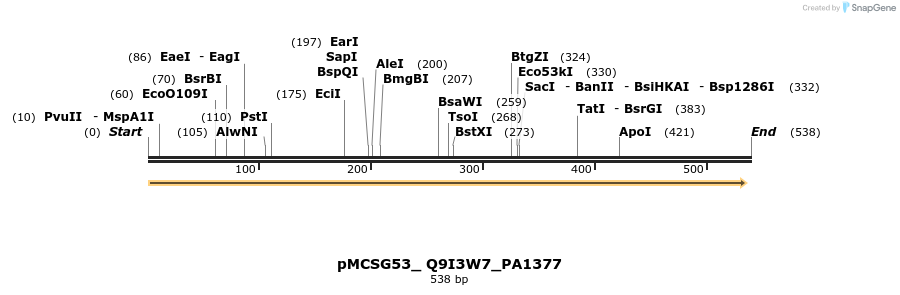 509822_map