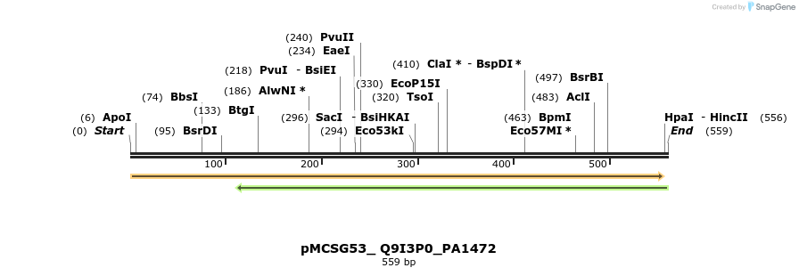 509823_map