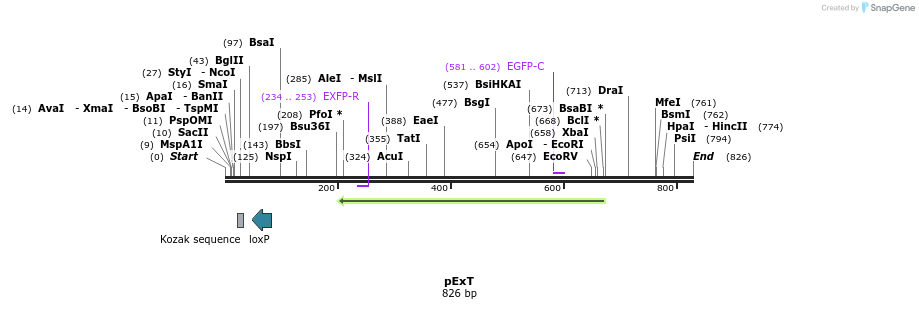 50986_map