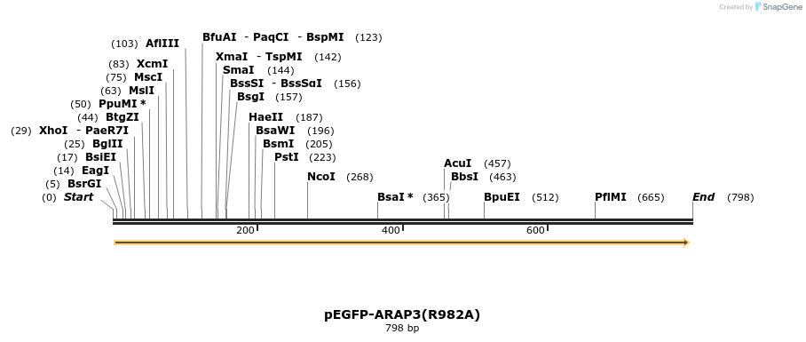 50987_map