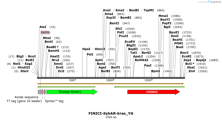 509872_map
