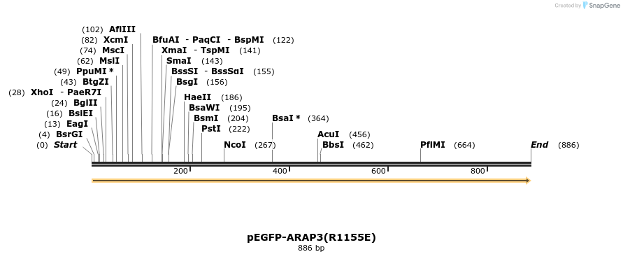 50988_map