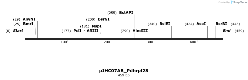 509896_map