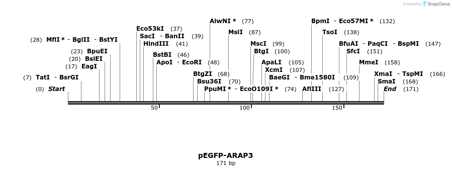 50990_map