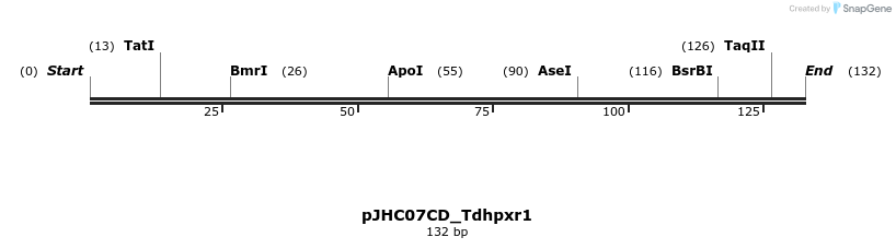 509901_map
