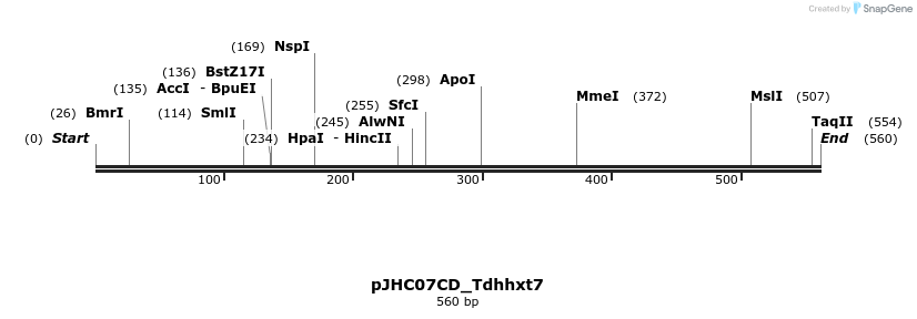 509905_map