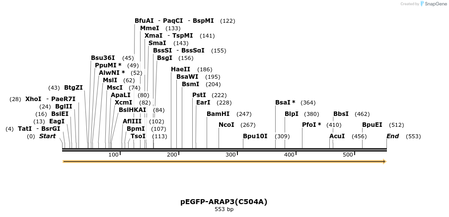 50991_map