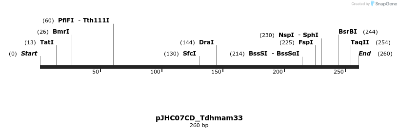 509911_map