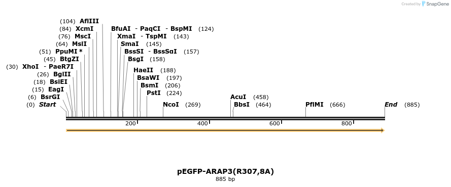 50992_map
