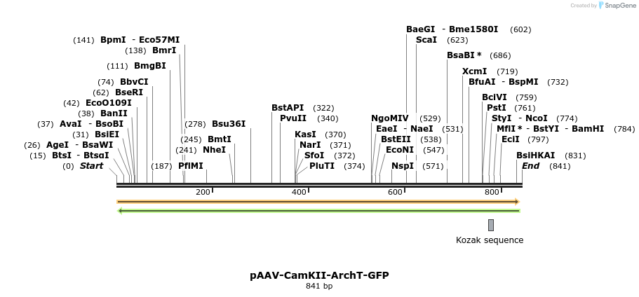 50997_map