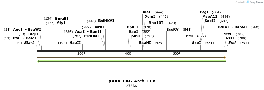 50998_map