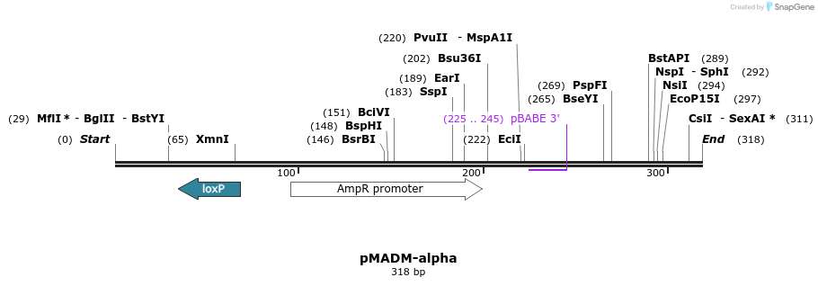 51002_map