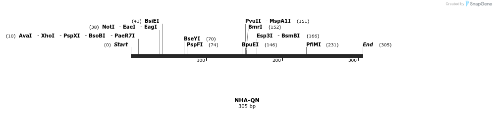 51010_map