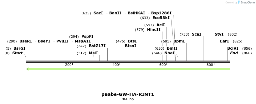 51011_map