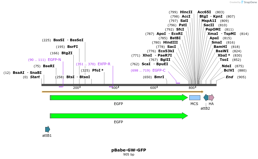 51012_map