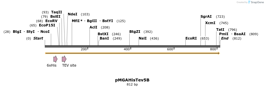 51021_map