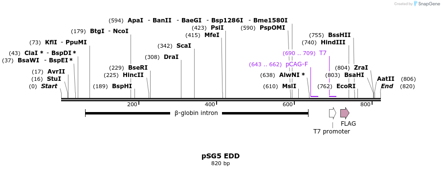 51022_map