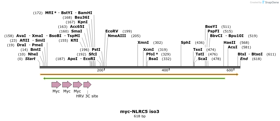 51024_map