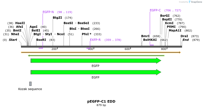 51025_map